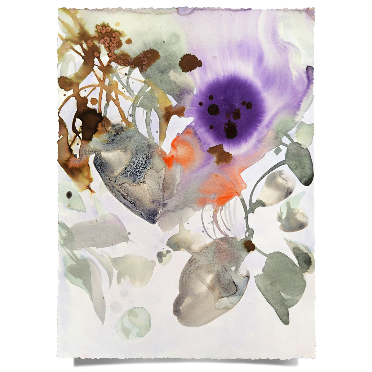 Modern Fine Art for Home Decor Botanical Watercolor Painting Persa 9x12" by Marta Spendowska