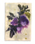original-painting-botanical-vintage-watercolor-marta-spendowska-verymarta-Painting in watercolor | Plums