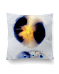 Throw Pillow 25-3