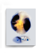 Abstract Wall Art Prints Loose Watercolor Paper & Canvas | Yarva