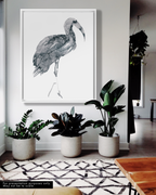 Animal Wall Art Prints Loose Watercolor Paper & Canvas | Ibis