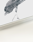 Animal Wall Art Prints Loose Watercolor Paper & Canvas | Ibis