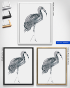 Animal Wall Art Prints Loose Watercolor Paper & Canvas | Ibis