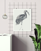 Animal Wall Art Prints Loose Watercolor Paper & Canvas | Ibis