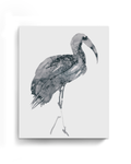 Animal Wall Art Prints Loose Watercolor Paper & Canvas | Ibis