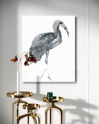 Animal Wall Art Prints Loose Watercolor Paper & Canvas | Ibis