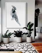 Animal Wall Art Prints Loose Watercolor Paper & Canvas | Parrot 1
