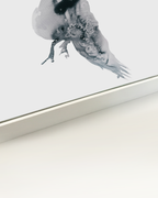 Animal Wall Art Prints Loose Watercolor Paper & Canvas | Parrot 1