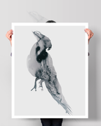 Animal Wall Art Prints Loose Watercolor Paper & Canvas | Parrot 1
