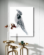 Animal Wall Art Prints Loose Watercolor Paper & Canvas | Parrot 1