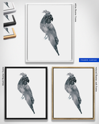 Animal Wall Art Prints Loose Watercolor Paper & Canvas | Parrot 2