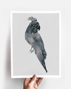 Animal Wall Art Prints Loose Watercolor Paper & Canvas | Parrot 2