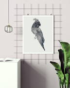 Animal Wall Art Prints Loose Watercolor Paper & Canvas | Parrot 2