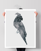 Animal Wall Art Prints Loose Watercolor Paper & Canvas | Parrot 2