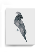 Animal Wall Art Prints Loose Watercolor Paper & Canvas | Parrot 2