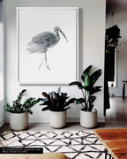Animal Wall Art Prints Loose Watercolor Paper & Canvas | Stork 1