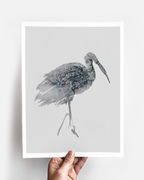 Animal Wall Art Prints Loose Watercolor Paper & Canvas | Stork 1