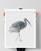 Animal Wall Art Prints Loose Watercolor Paper & Canvas | Stork 1