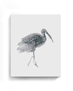 Animal Wall Art Prints Loose Watercolor Paper & Canvas | Stork 1
