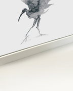 Animal Wall Art Prints Loose Watercolor Paper & Canvas | Stork 3