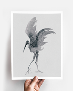 Animal Wall Art Prints Loose Watercolor Paper & Canvas | Stork 3