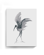 Animal Wall Art Prints Loose Watercolor Paper & Canvas | Stork 3