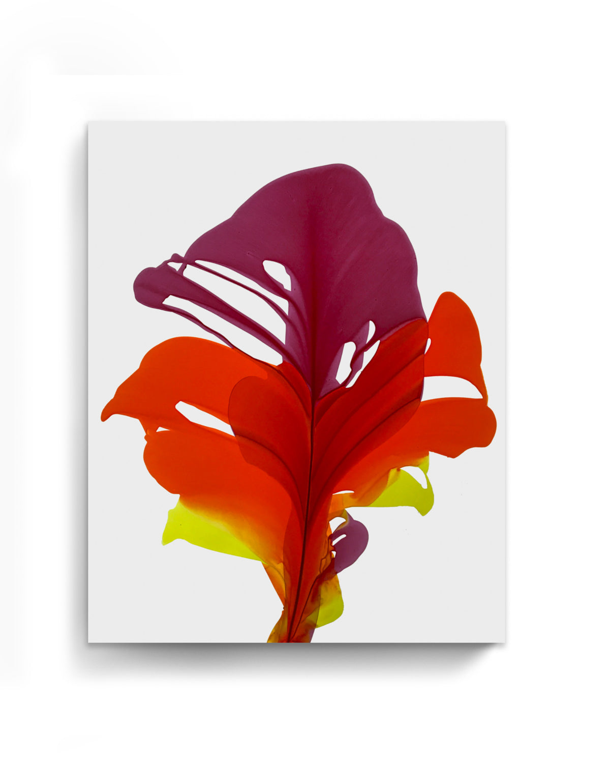 Botanical Wall Art Prints Abstract Floral Plant Watercolor Paper & Canvas | Bloom 10