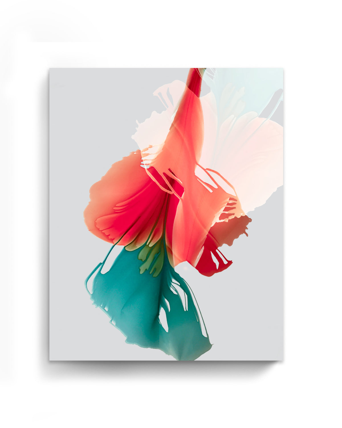 Botanical Wall Art Prints Abstract Floral Plant Watercolor Paper & Canvas | Bloom 11