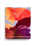 Botanical Wall Art Prints Abstract Floral Plant Watercolor Paper & Canvas | Bloom 12