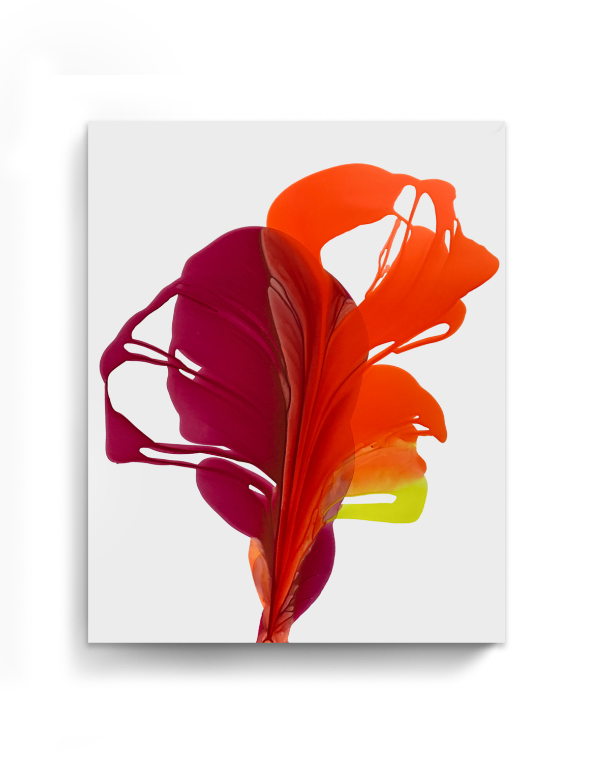 Botanical Wall Art Prints Abstract Floral Plant Watercolor Paper & Canvas | Bloom 13