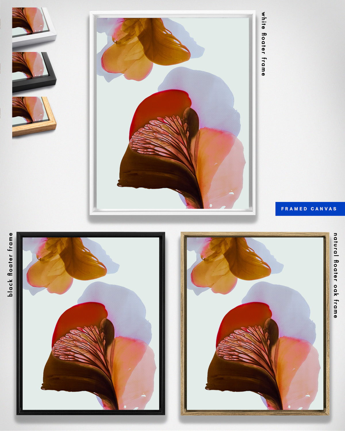 Botanical Wall Art Prints Abstract Floral Plant Watercolor Paper & Canvas | Bloom 24