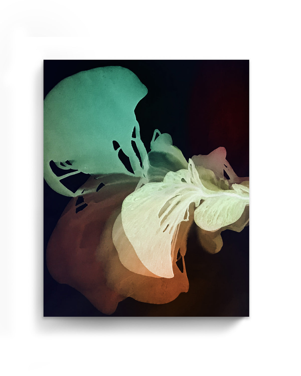 Botanical Wall Art Prints Abstract Floral Plant Watercolor Paper & Canvas | Bloom 27