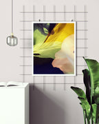 Botanical Wall Art Prints Abstract Floral Plant Watercolor Paper & Canvas | Bloom 29