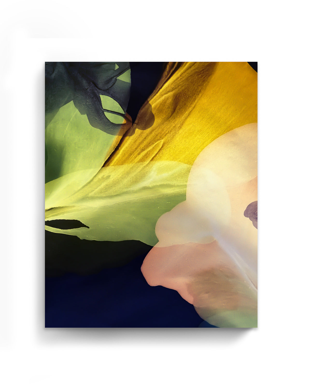 Botanical Wall Art Prints Abstract Floral Plant Watercolor Paper & Canvas | Bloom 29