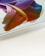 Botanical Wall Art Prints Abstract Floral Plant Watercolor Paper & Canvas | Eyët