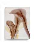 Botanical Wall Art Prints Abstract Floral Plant Watercolor Paper & Canvas | Bloom 37
