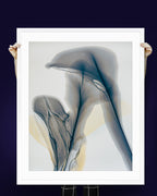 Botanical Wall Art Prints Abstract Floral Plant Watercolor Paper & Canvas | Bloom 38