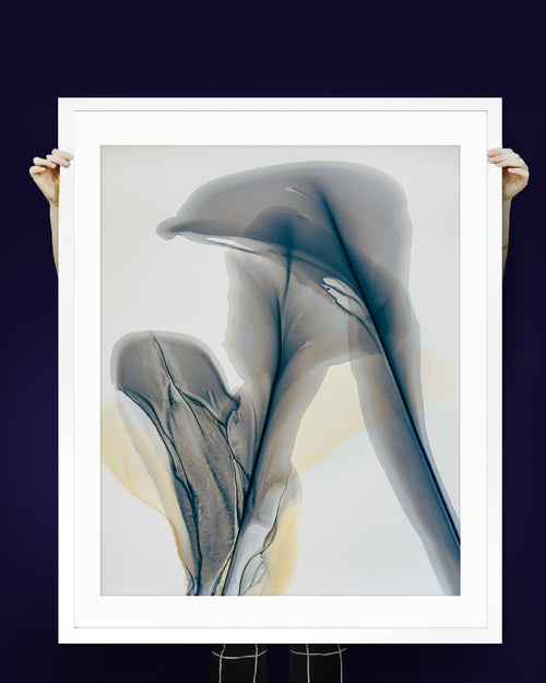 Bloom 38  | Modern Botanical Floral Watercolor Wall Art Print