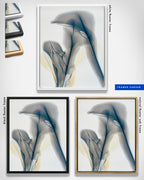 Botanical Wall Art Prints Abstract Floral Plant Watercolor Paper & Canvas | Bloom 38