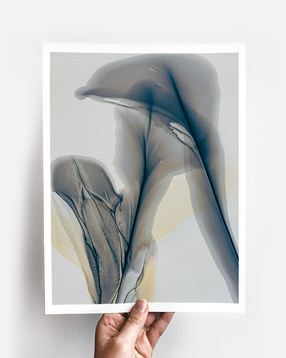 Botanical Wall Art Prints Abstract Floral Plant Watercolor Paper & Canvas | Bloom 38