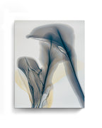 Botanical Wall Art Prints Abstract Floral Plant Watercolor Paper & Canvas | Bloom 38