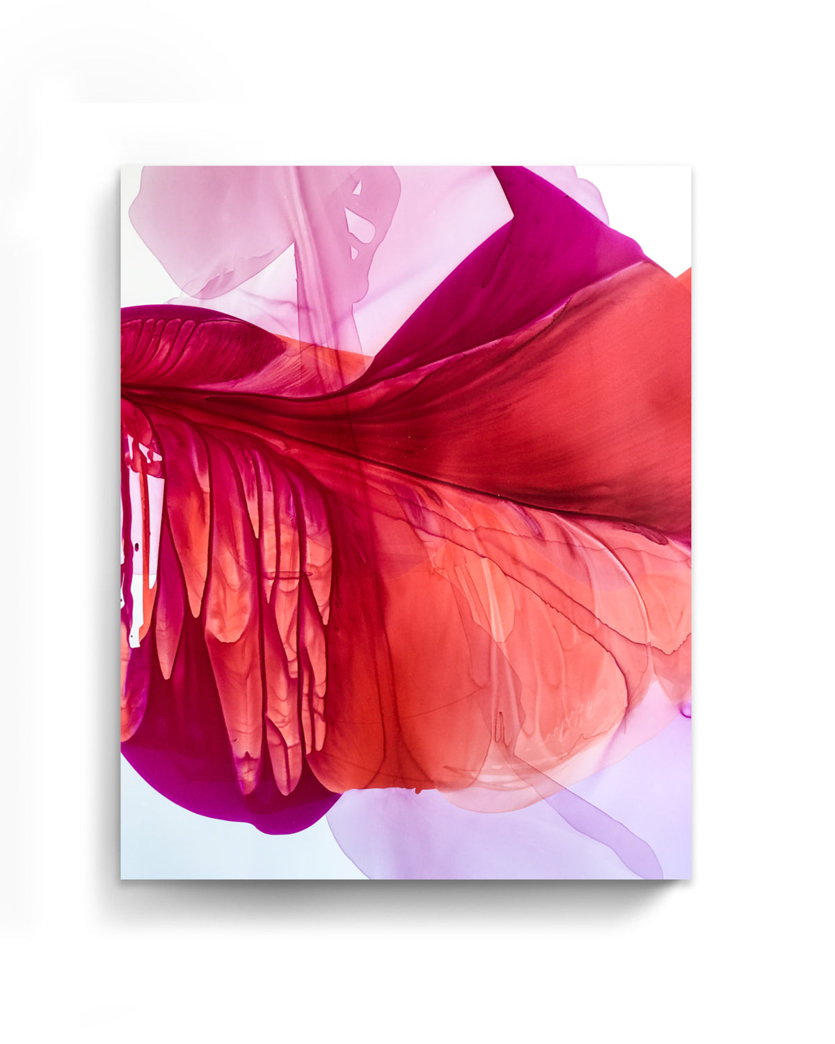 Botanical Wall Art Prints Abstract Floral Plant Watercolor Paper & Canvas | Bloom 4