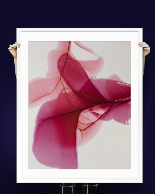Burgë  | Modern Botanical Floral Watercolor Wall Art Print