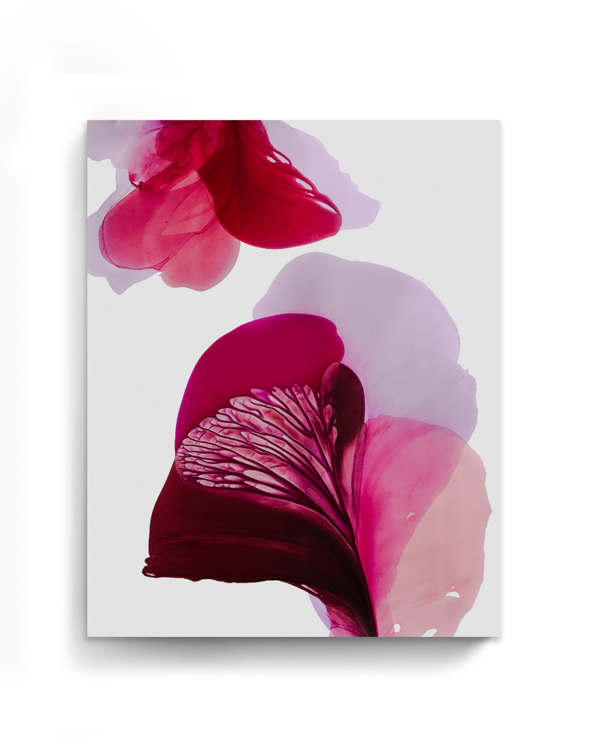 Botanical Wall Art Prints Abstract Floral Plant Watercolor Paper & Canvas | Bloom 9