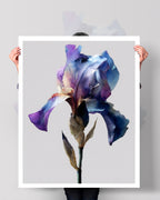 Botanical Wall Art Prints Abstract Flora Plant Watercolor Paper & Canvas | Iris 1