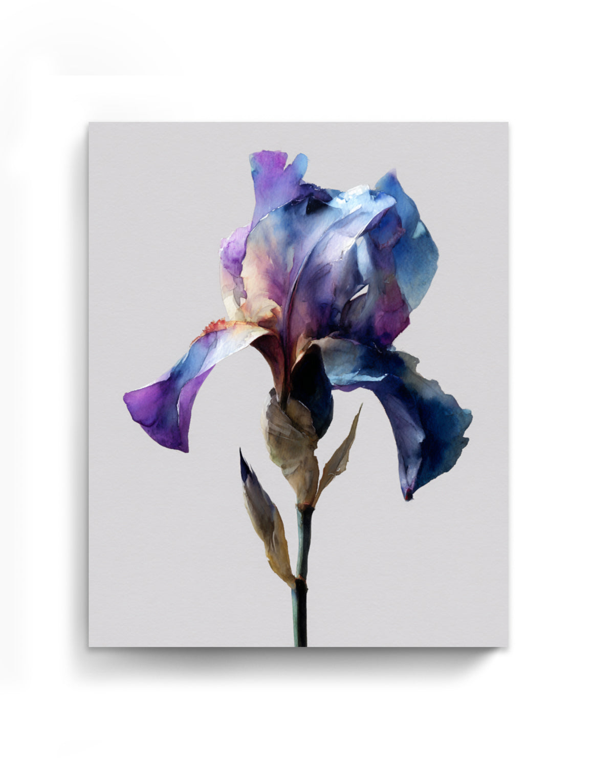 Botanical Wall Art Prints Abstract Flora Plant Watercolor Paper & Canvas | Iris 1