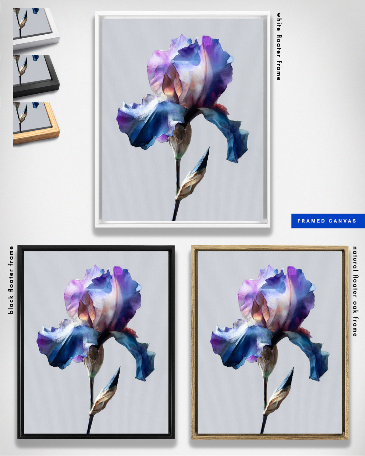 Botanical Wall Art Prints Abstract Flora Plant Watercolor Paper & Canvas | Iris 2