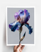 Botanical Wall Art Prints Abstract Flora Plant Watercolor Paper & Canvas | Iris 2