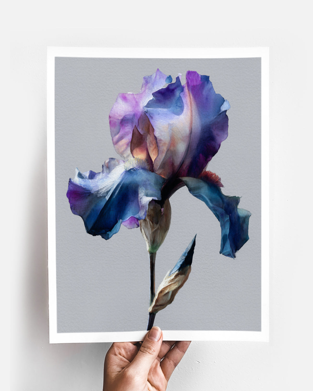 Botanical Wall Art Prints Abstract Flora Plant Watercolor Paper & Canvas | Iris 2