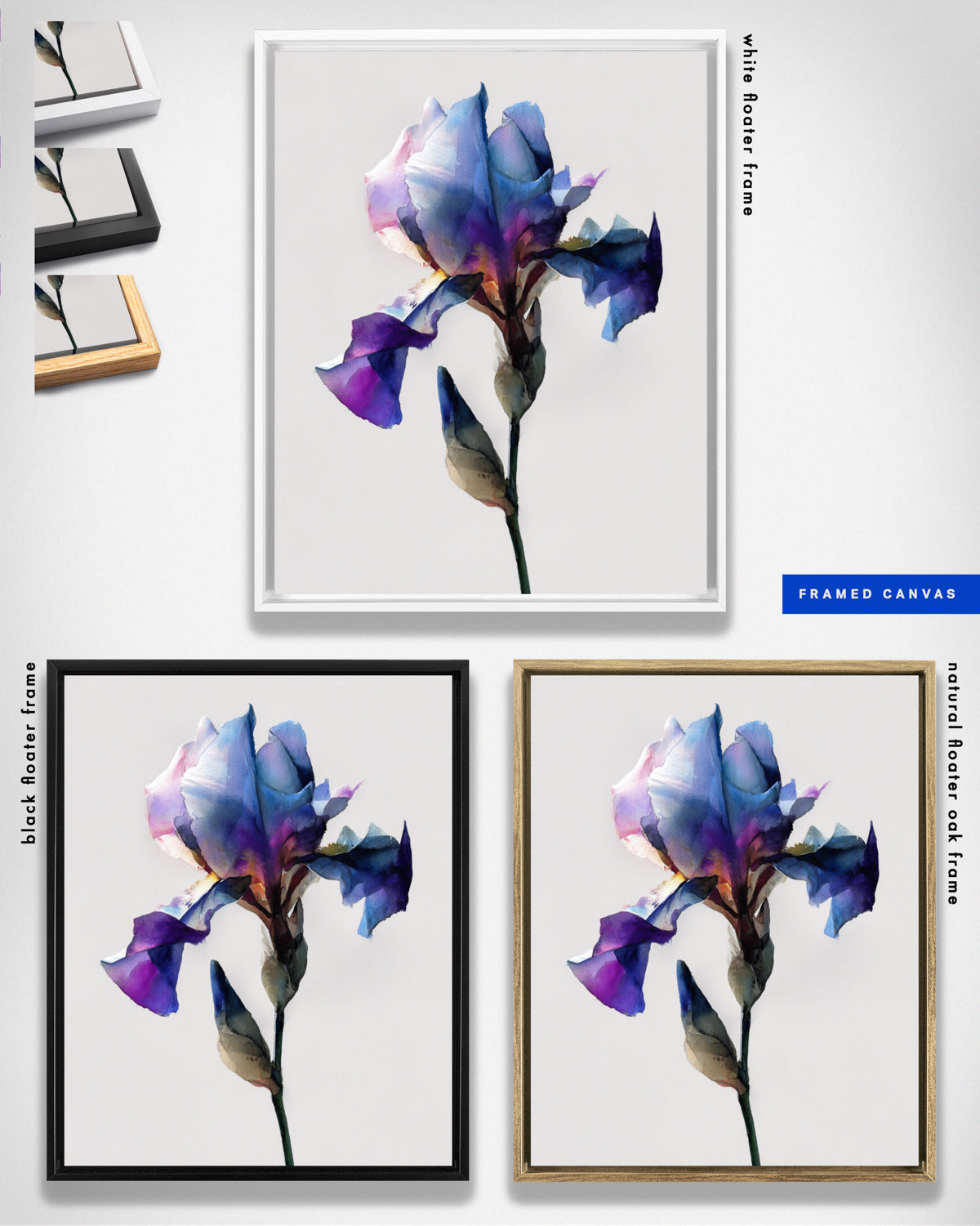 Botanical Wall Art Prints Abstract Flora Plant Watercolor Paper & Canvas | Iris 3